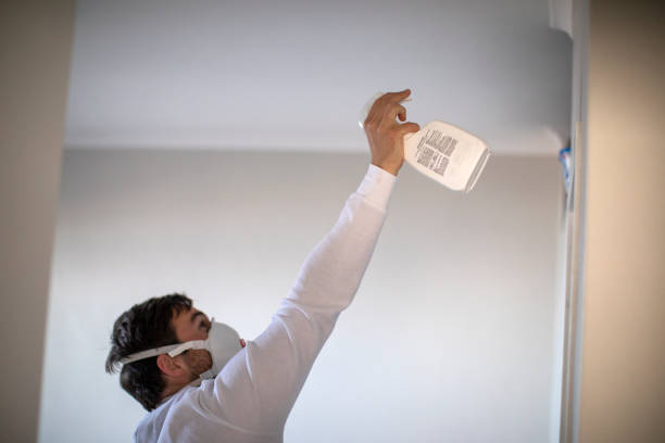 Best Mold Testing and Inspection Services in Kittery Point, ME